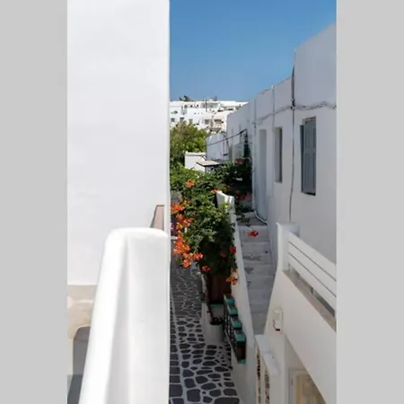 Apartman Soso's House *